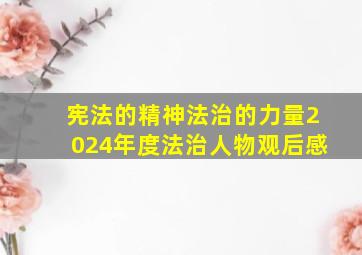 宪法的精神法治的力量2024年度法治人物观后感