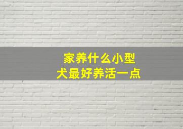 家养什么小型犬最好养活一点