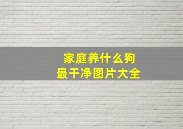 家庭养什么狗最干净图片大全