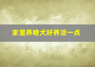 家里养啥犬好养活一点