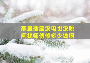 家里插座没电也没跳闸找师傅修多少钱啊