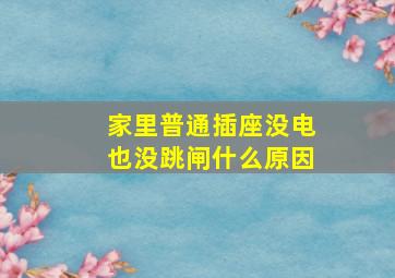 家里普通插座没电也没跳闸什么原因