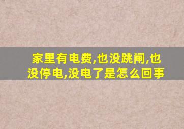 家里有电费,也没跳闸,也没停电,没电了是怎么回事