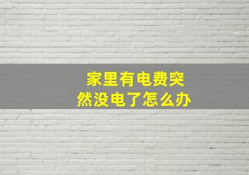 家里有电费突然没电了怎么办