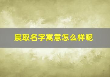 宸取名字寓意怎么样呢