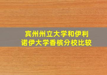 宾州州立大学和伊利诺伊大学香槟分校比较