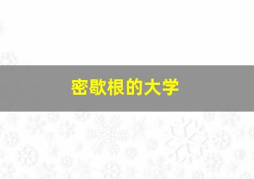 密歇根的大学