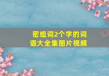 密组词2个字的词语大全集图片视频