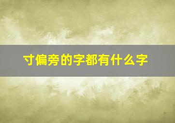 寸偏旁的字都有什么字