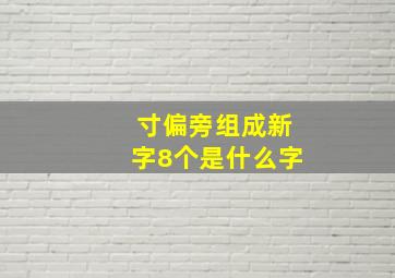 寸偏旁组成新字8个是什么字