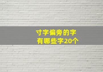 寸字偏旁的字有哪些字20个