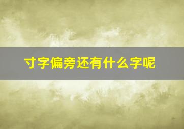 寸字偏旁还有什么字呢