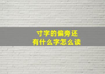 寸字的偏旁还有什么字怎么读