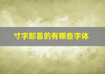 寸字部首的有哪些字体