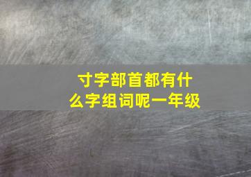 寸字部首都有什么字组词呢一年级