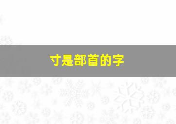 寸是部首的字