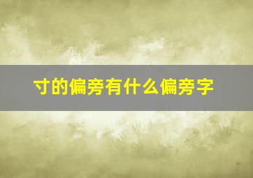 寸的偏旁有什么偏旁字