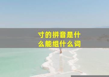 寸的拼音是什么能组什么词