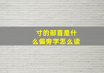 寸的部首是什么偏旁字怎么读