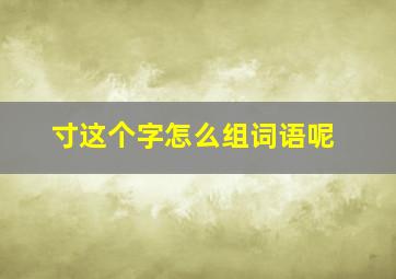 寸这个字怎么组词语呢