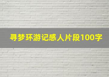 寻梦环游记感人片段100字