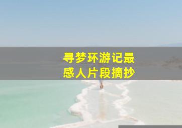 寻梦环游记最感人片段摘抄