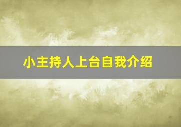 小主持人上台自我介绍