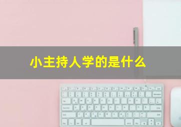 小主持人学的是什么