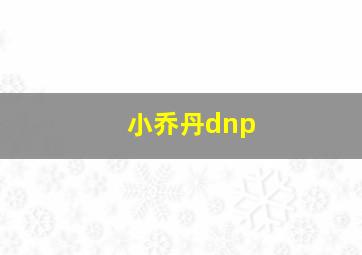 小乔丹dnp