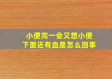 小便完一会又想小便下面还有血是怎么回事