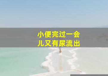 小便完过一会儿又有尿流出