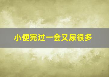 小便完过一会又尿很多