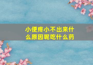 小便疼小不出来什么原因呢吃什么药