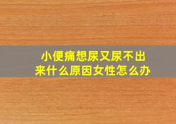 小便痛想尿又尿不出来什么原因女性怎么办