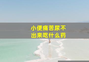 小便痛苦尿不出来吃什么药