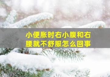 小便胀时右小腹和右腰就不舒服怎么回事