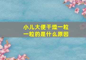 小儿大便干燥一粒一粒的是什么原因