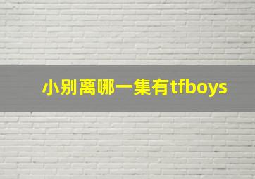 小别离哪一集有tfboys