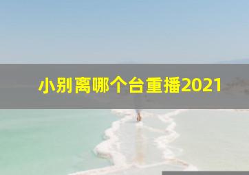 小别离哪个台重播2021