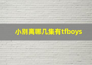 小别离哪几集有tfboys