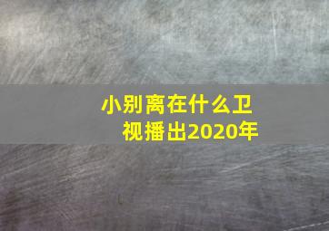 小别离在什么卫视播出2020年