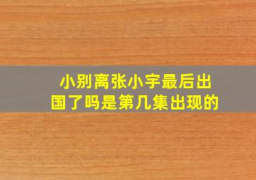 小别离张小宇最后出国了吗是第几集出现的