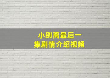 小别离最后一集剧情介绍视频