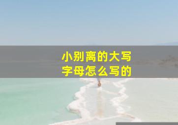 小别离的大写字母怎么写的