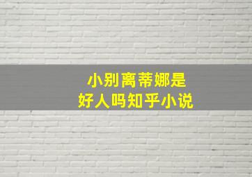 小别离蒂娜是好人吗知乎小说