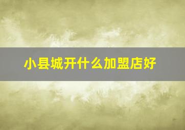 小县城开什么加盟店好