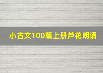 小古文100篇上册芦花朗诵