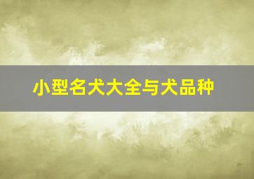 小型名犬大全与犬品种