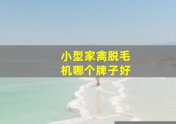 小型家禽脱毛机哪个牌子好