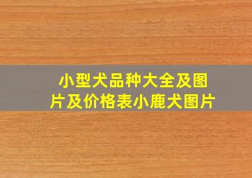 小型犬品种大全及图片及价格表小鹿犬图片